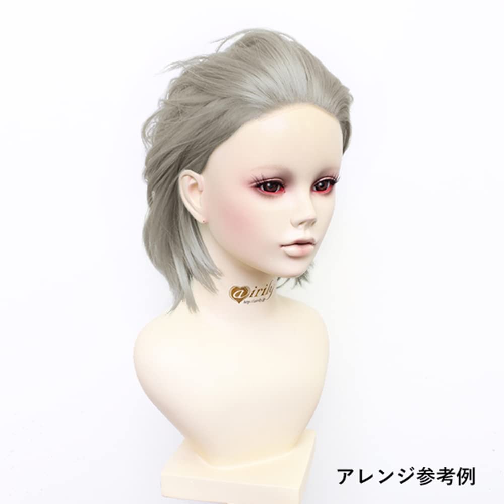Amazon.co.jp: airily(エアリー) 生え際パーツ(フロントレース) STD